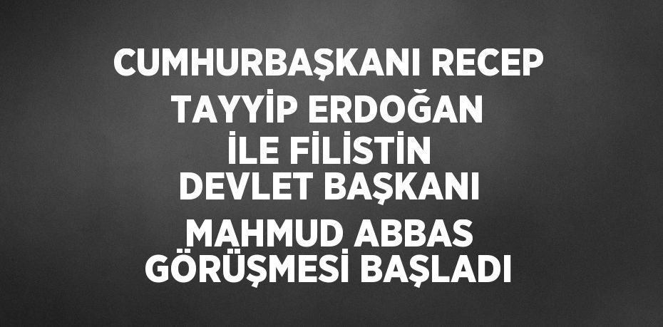 CUMHURBAŞKANI RECEP TAYYİP ERDOĞAN İLE FİLİSTİN DEVLET BAŞKANI MAHMUD ABBAS GÖRÜŞMESİ BAŞLADI