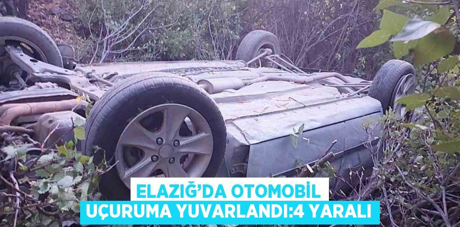 ELAZIĞ’DA OTOMOBİL UÇURUMA YUVARLANDI:4 YARALI