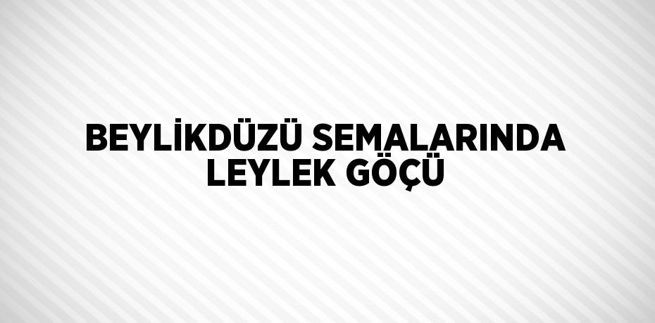 BEYLİKDÜZÜ SEMALARINDA LEYLEK GÖÇÜ