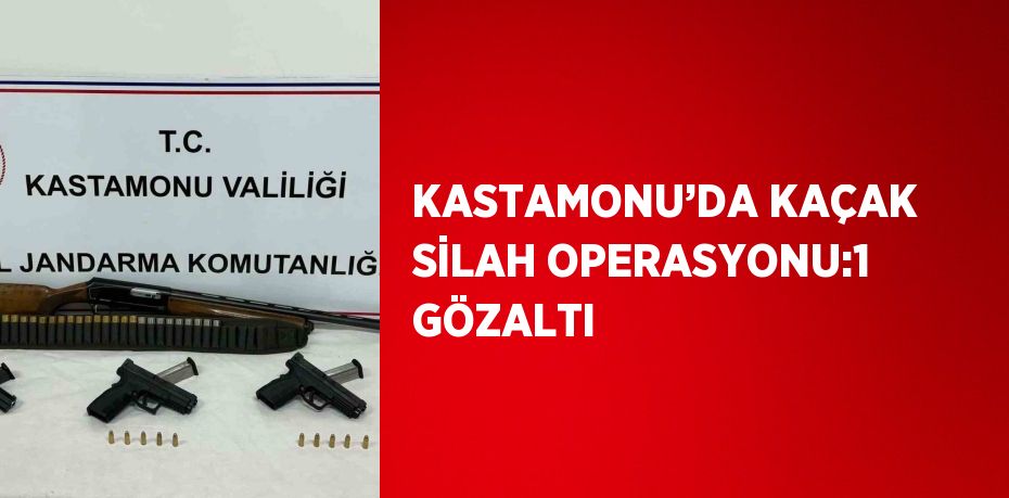 KASTAMONU’DA KAÇAK SİLAH OPERASYONU:1 GÖZALTI