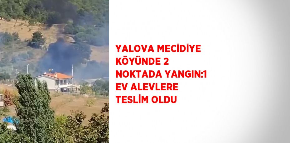 YALOVA MECİDİYE KÖYÜNDE 2 NOKTADA YANGIN:1 EV ALEVLERE TESLİM OLDU