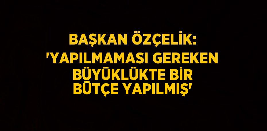 BAŞKAN ÖZÇELİK: 'YAPILMAMASI GEREKEN BÜYÜKLÜKTE BİR BÜTÇE YAPILMIŞ'