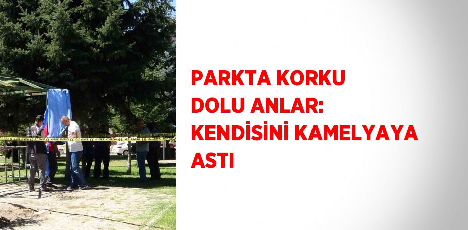 PARKTA KORKU DOLU ANLAR: KENDİSİNİ KAMELYAYA ASTI