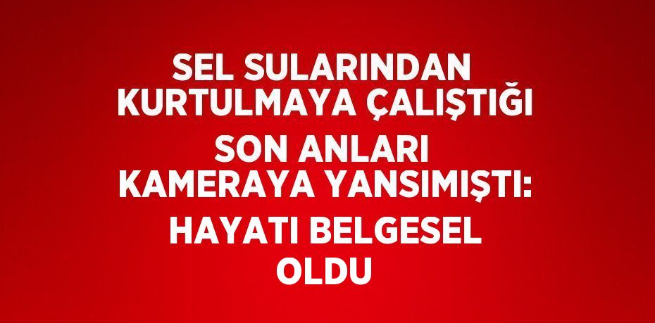 SEL SULARINDAN KURTULMAYA ÇALIŞTIĞI SON ANLARI KAMERAYA YANSIMIŞTI: HAYATI BELGESEL OLDU