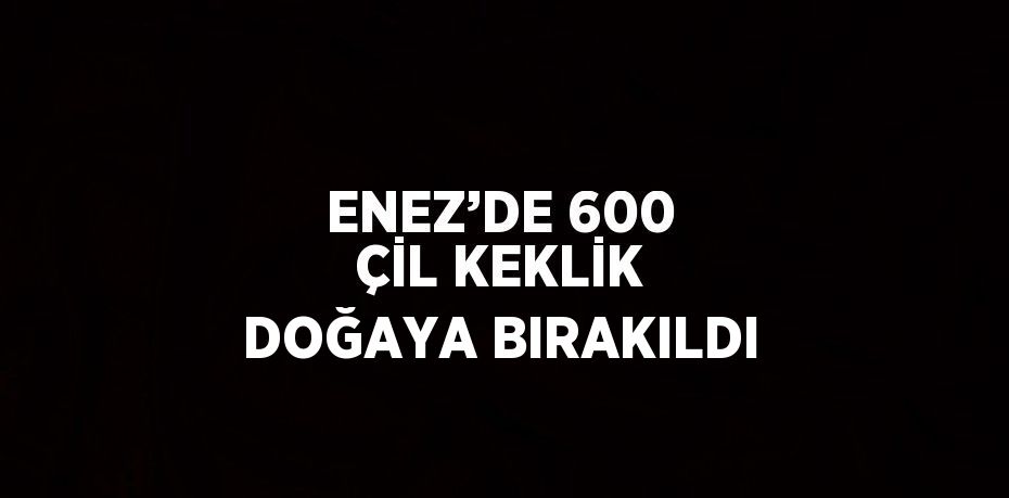 ENEZ’DE 600 ÇİL KEKLİK DOĞAYA BIRAKILDI