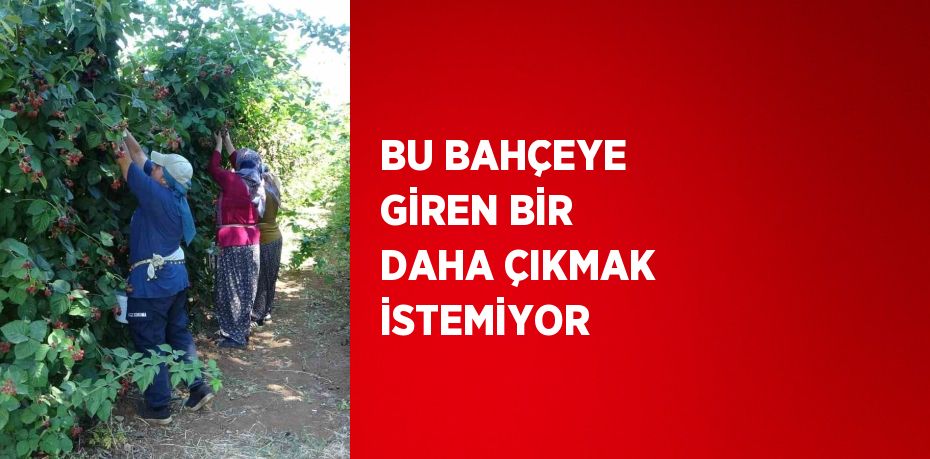 BU BAHÇEYE GİREN BİR DAHA ÇIKMAK İSTEMİYOR