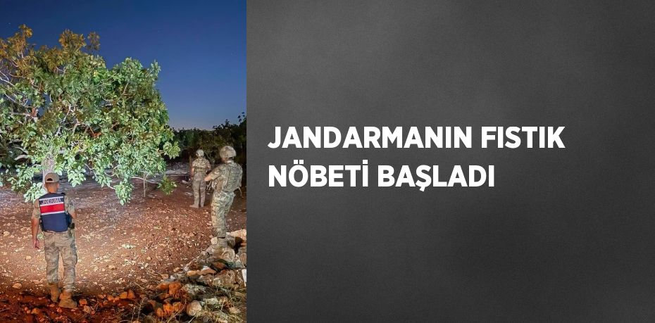 JANDARMANIN FISTIK NÖBETİ BAŞLADI