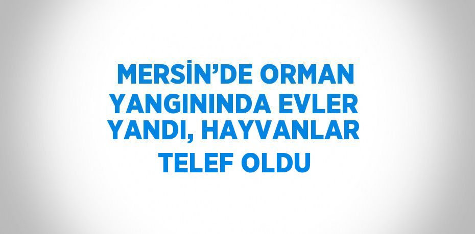 MERSİN’DE ORMAN YANGININDA EVLER YANDI, HAYVANLAR TELEF OLDU