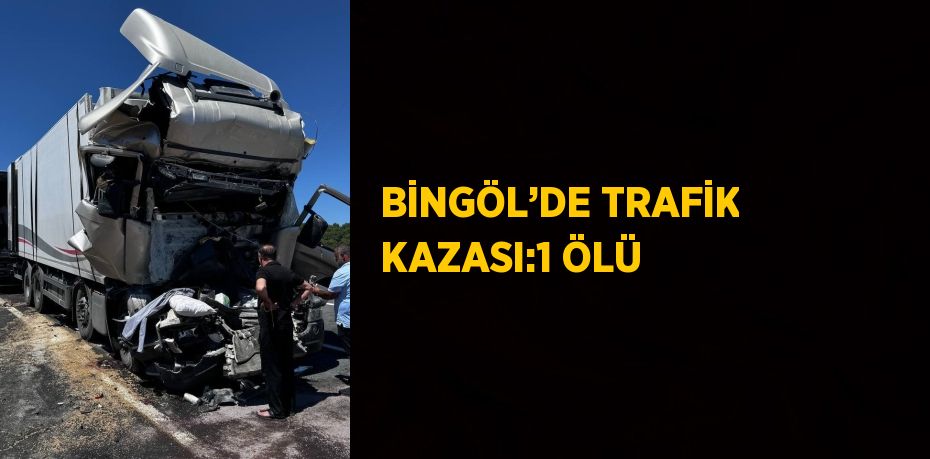 BİNGÖL’DE TRAFİK KAZASI:1 ÖLÜ