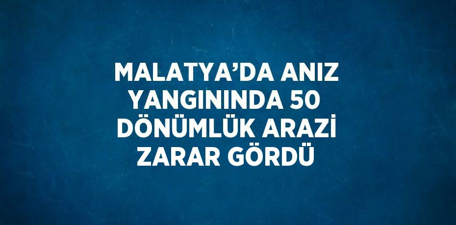 MALATYA’DA ANIZ YANGININDA 50 DÖNÜMLÜK ARAZİ ZARAR GÖRDÜ