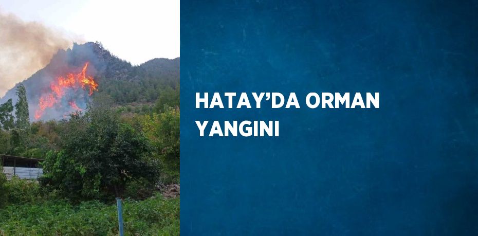HATAY’DA ORMAN YANGINI