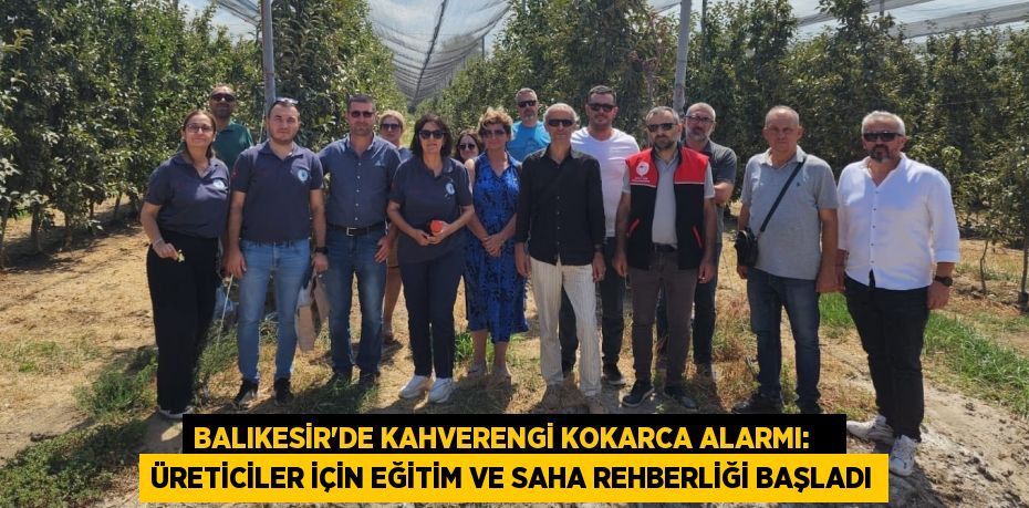 Balıkesir'de Kahverengi Kokarca Alarmı:    Üreticiler İçin Eğitim ve Saha Rehberliği Başladı