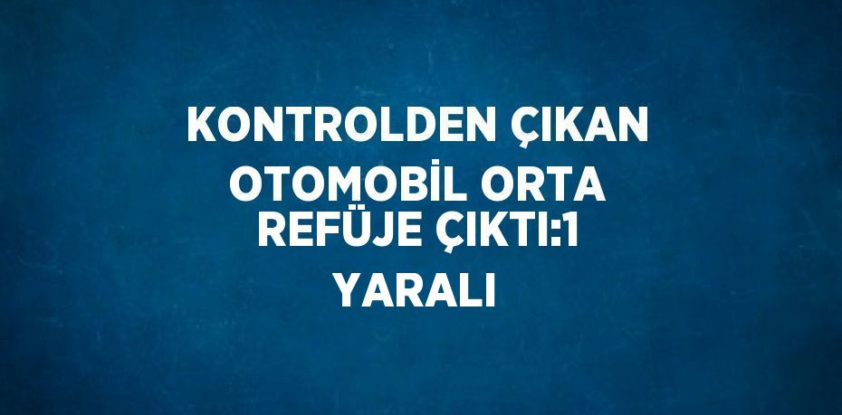 KONTROLDEN ÇIKAN OTOMOBİL ORTA REFÜJE ÇIKTI:1 YARALI