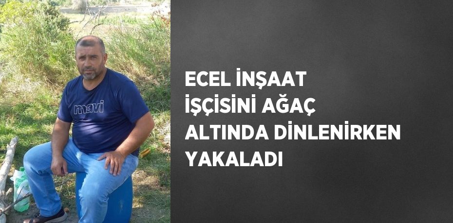 ECEL İNŞAAT İŞÇİSİNİ AĞAÇ ALTINDA DİNLENİRKEN YAKALADI