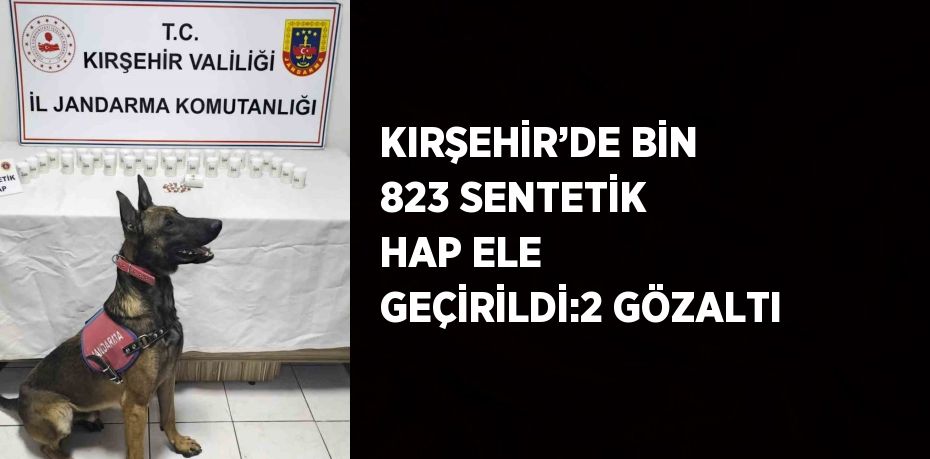 KIRŞEHİR’DE BİN 823 SENTETİK HAP ELE GEÇİRİLDİ:2 GÖZALTI