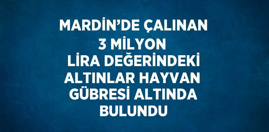 MARDİN’DE ÇALINAN 3 MİLYON LİRA DEĞERİNDEKİ ALTINLAR HAYVAN GÜBRESİ ALTINDA BULUNDU