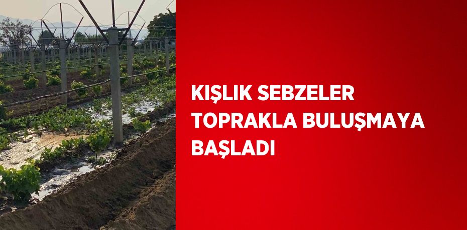 KIŞLIK SEBZELER TOPRAKLA BULUŞMAYA BAŞLADI