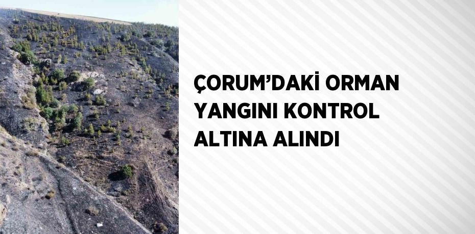ÇORUM’DAKİ ORMAN YANGINI KONTROL ALTINA ALINDI