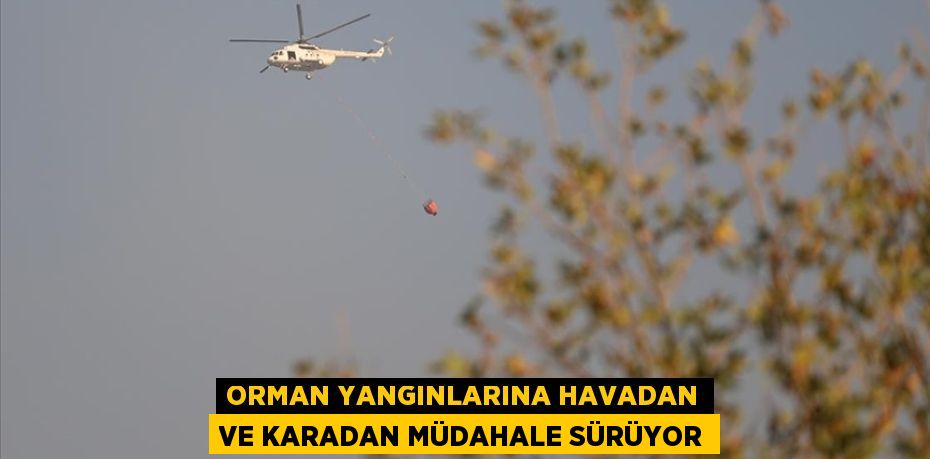 Orman yangınlarına havadan ve karadan müdahale sürüyor