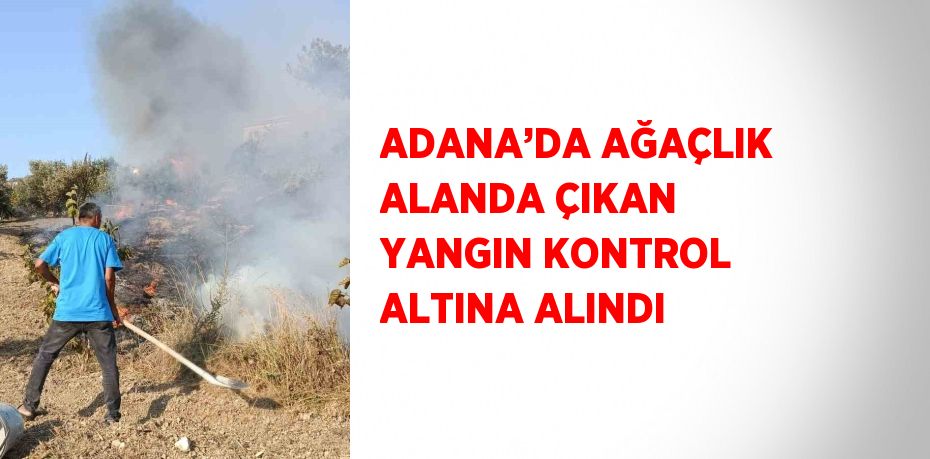 ADANA’DA AĞAÇLIK ALANDA ÇIKAN YANGIN KONTROL ALTINA ALINDI