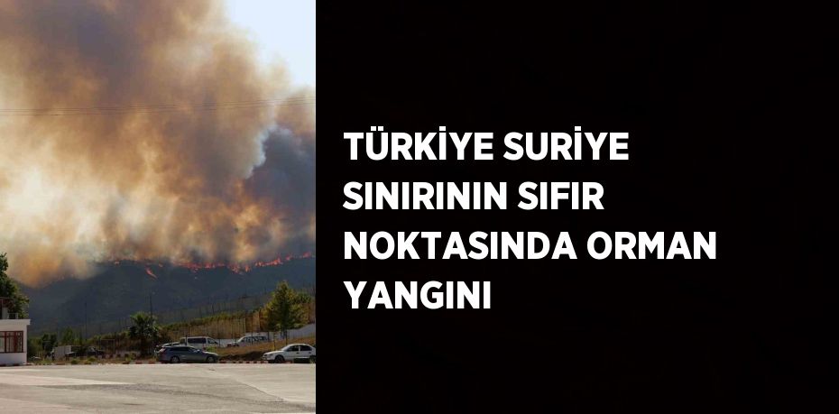 TÜRKİYE SURİYE SINIRININ SIFIR NOKTASINDA ORMAN YANGINI