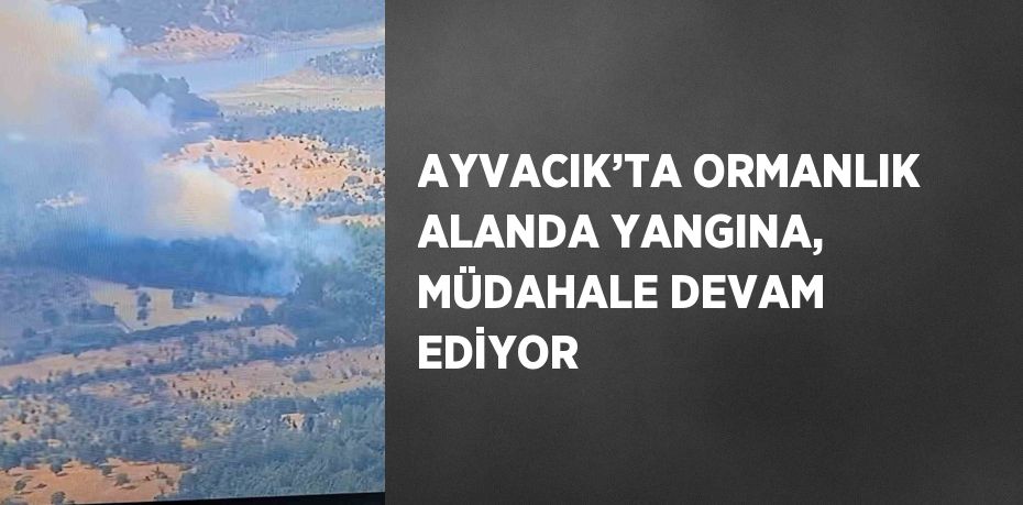 AYVACIK’TA ORMANLIK ALANDA YANGINA, MÜDAHALE DEVAM EDİYOR