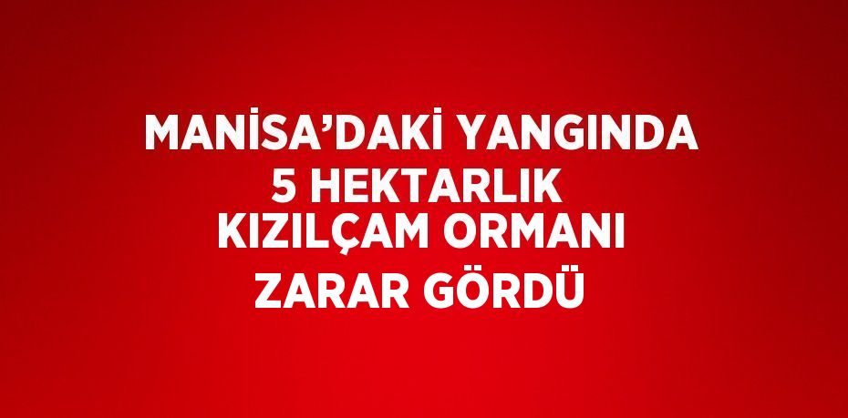 MANİSA’DAKİ YANGINDA 5 HEKTARLIK KIZILÇAM ORMANI ZARAR GÖRDÜ