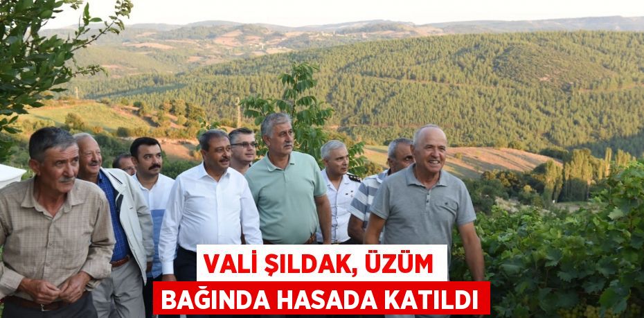 VALİ ŞILDAK, ÜZÜM BAĞINDA HASADA KATILDI