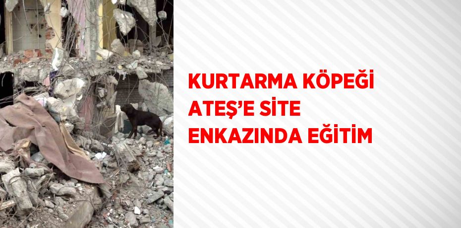 KURTARMA KÖPEĞİ ATEŞ’E SİTE ENKAZINDA EĞİTİM