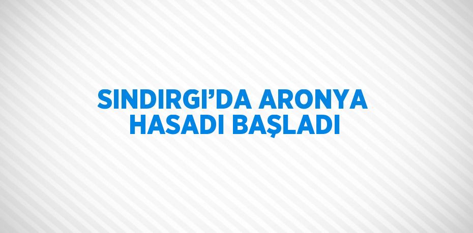 SINDIRGI’DA ARONYA HASADI BAŞLADI