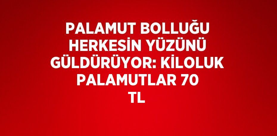 PALAMUT BOLLUĞU HERKESİN YÜZÜNÜ GÜLDÜRÜYOR: KİLOLUK PALAMUTLAR 70 TL