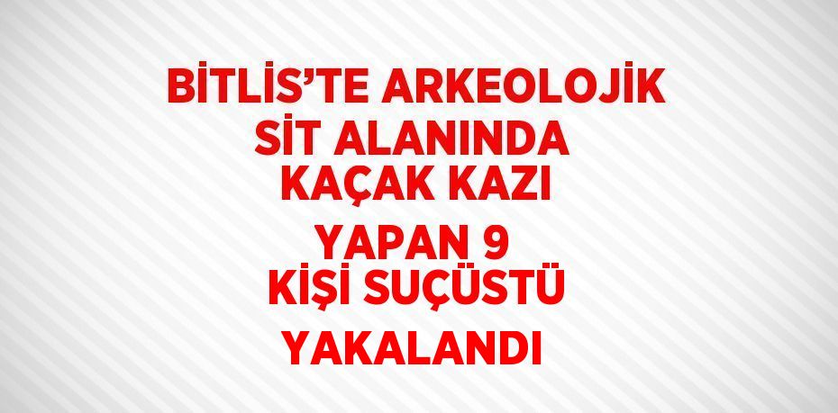 BİTLİS’TE ARKEOLOJİK SİT ALANINDA KAÇAK KAZI YAPAN 9 KİŞİ SUÇÜSTÜ YAKALANDI