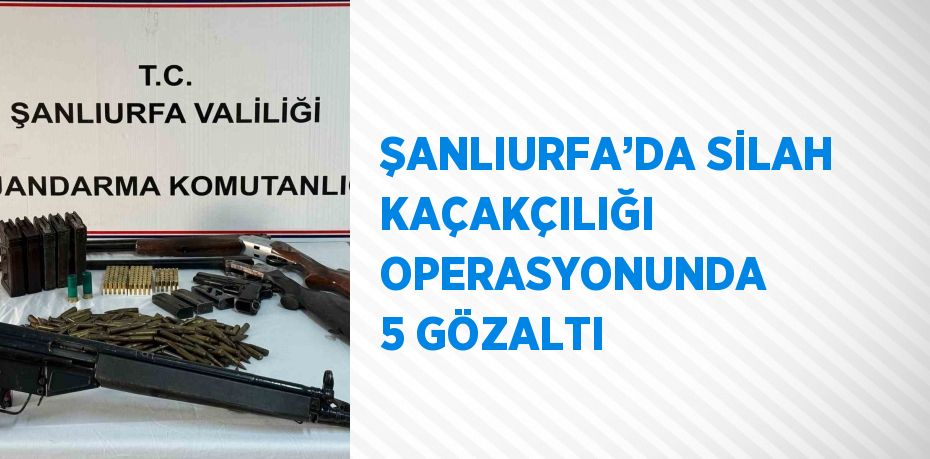 ŞANLIURFA’DA SİLAH KAÇAKÇILIĞI OPERASYONUNDA 5 GÖZALTI