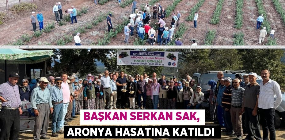 BAŞKAN SERKAN SAK, ARONYA HASATINA KATILDI