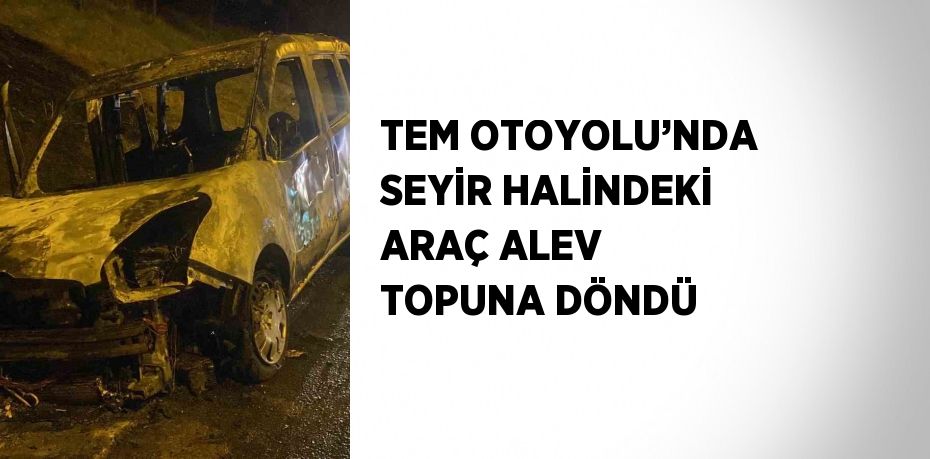 TEM OTOYOLU’NDA SEYİR HALİNDEKİ ARAÇ ALEV TOPUNA DÖNDÜ