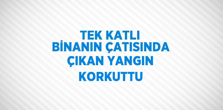 TEK KATLI BİNANIN ÇATISINDA ÇIKAN YANGIN KORKUTTU