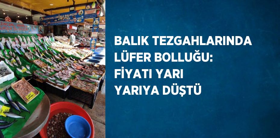 BALIK TEZGAHLARINDA LÜFER BOLLUĞU: FİYATI YARI YARIYA DÜŞTÜ