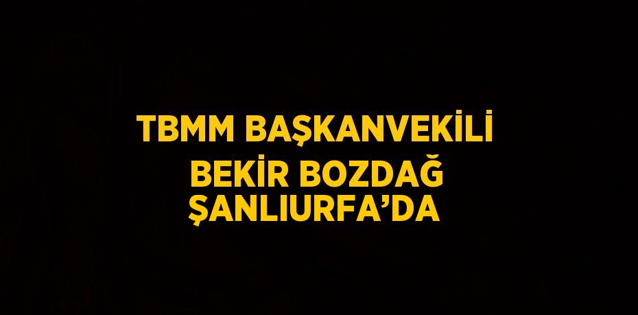 TBMM BAŞKANVEKİLİ BEKİR BOZDAĞ ŞANLIURFA’DA