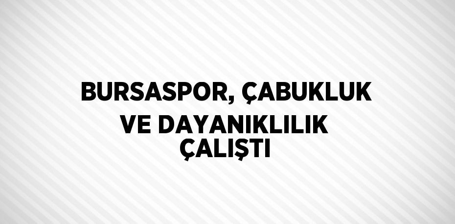 BURSASPOR, ÇABUKLUK VE DAYANIKLILIK ÇALIŞTI