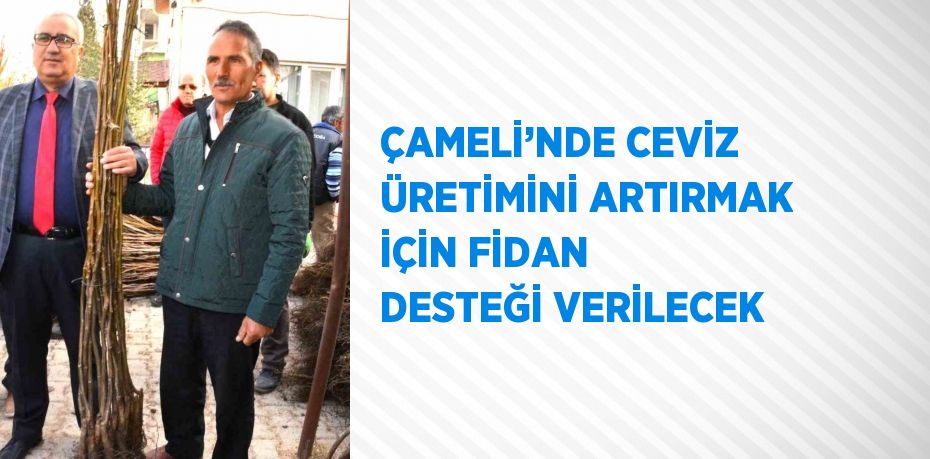 ÇAMELİ’NDE CEVİZ ÜRETİMİNİ ARTIRMAK İÇİN FİDAN DESTEĞİ VERİLECEK