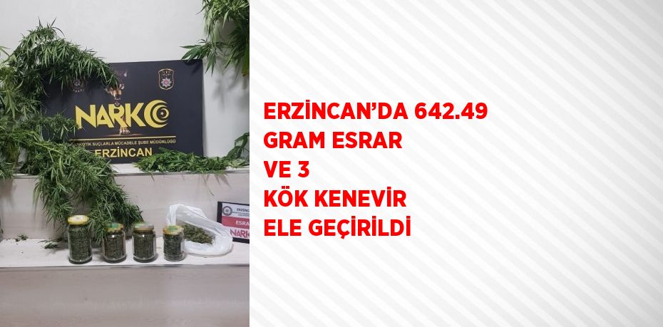 ERZİNCAN’DA 642.49 GRAM ESRAR VE 3 KÖK KENEVİR ELE GEÇİRİLDİ