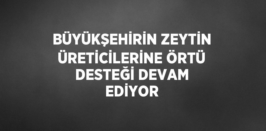 BÜYÜKŞEHİRİN ZEYTİN ÜRETİCİLERİNE ÖRTÜ DESTEĞİ DEVAM EDİYOR