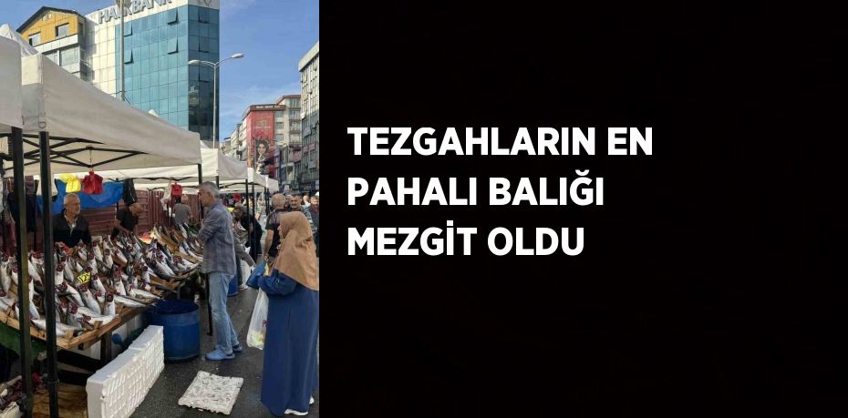 TEZGAHLARIN EN PAHALI BALIĞI MEZGİT OLDU