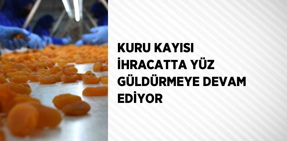 KURU KAYISI İHRACATTA YÜZ GÜLDÜRMEYE DEVAM EDİYOR