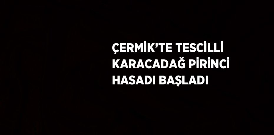 ÇERMİK’TE TESCİLLİ KARACADAĞ PİRİNCİ HASADI BAŞLADI