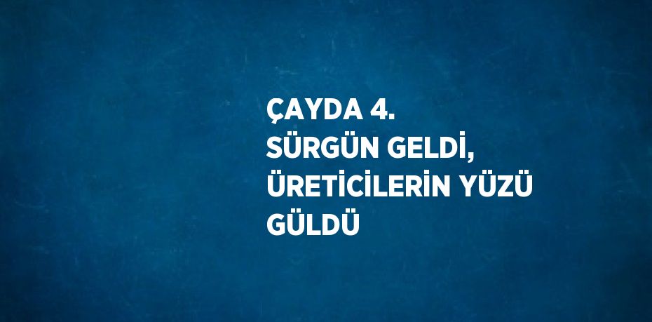 ÇAYDA 4. SÜRGÜN GELDİ, ÜRETİCİLERİN YÜZÜ GÜLDÜ