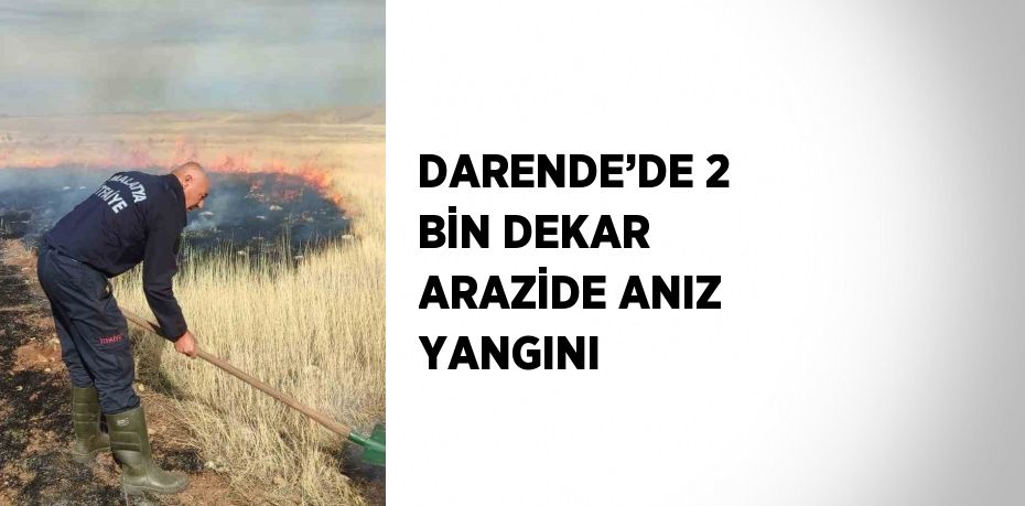 DARENDE’DE 2 BİN DEKAR ARAZİDE ANIZ YANGINI