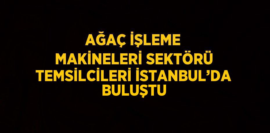 AĞAÇ İŞLEME MAKİNELERİ SEKTÖRÜ TEMSİLCİLERİ İSTANBUL’DA BULUŞTU