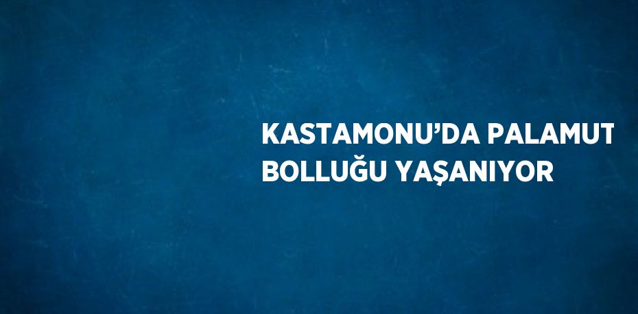 KASTAMONU’DA PALAMUT BOLLUĞU YAŞANIYOR