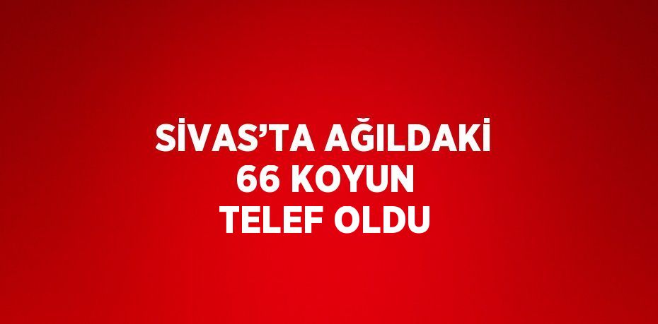 SİVAS’TA AĞILDAKİ 66 KOYUN TELEF OLDU